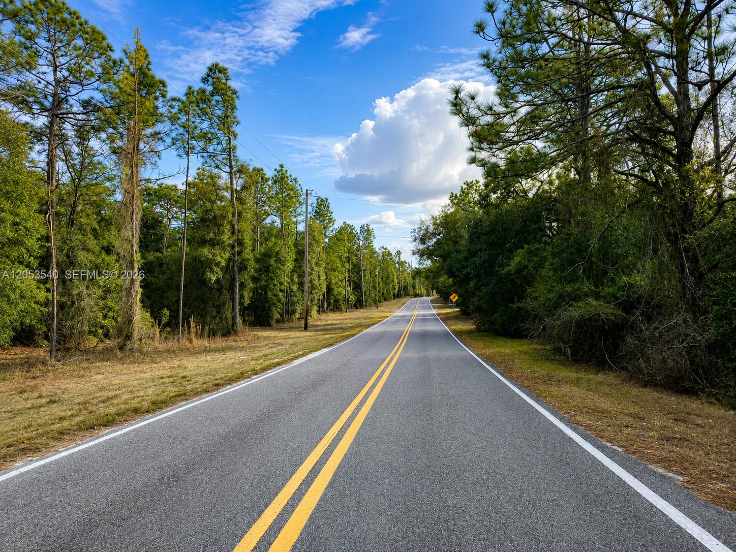 A paved two-lane road stretches through a wooded area under a blue sky — 130 Indianapolis St, Palatka FL 32640, PALATKA, FL