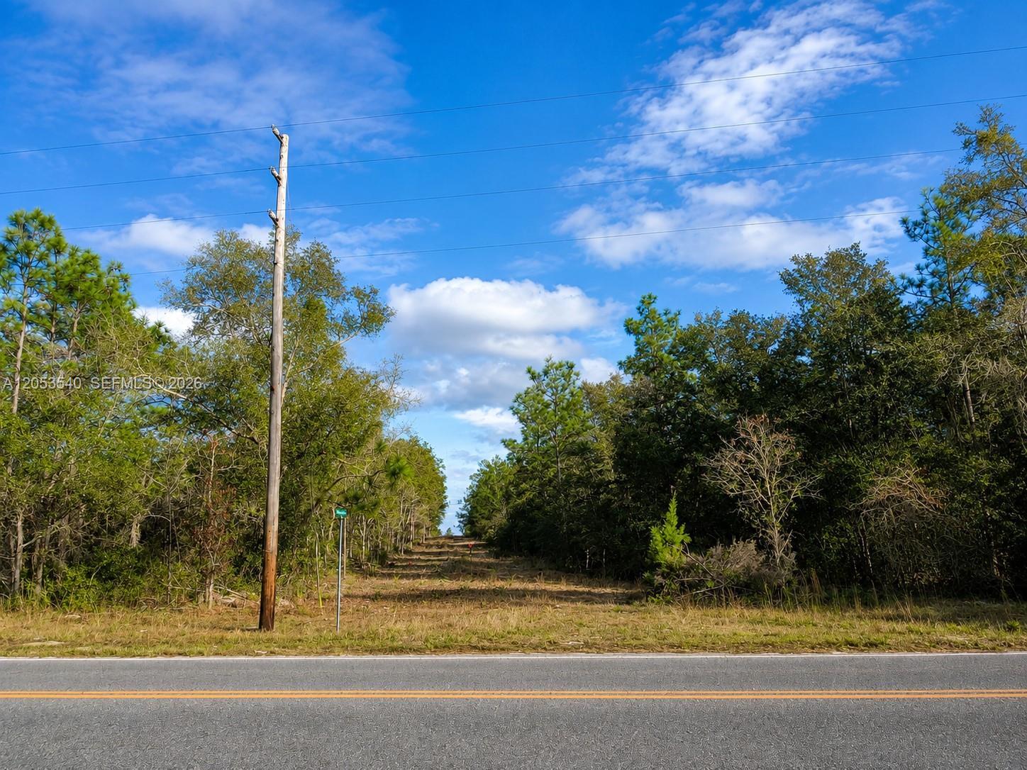 A paved road runs in front of a wooded lot with a utility pole — 130 Indianapolis St, Palatka FL 32640, PALATKA, FL