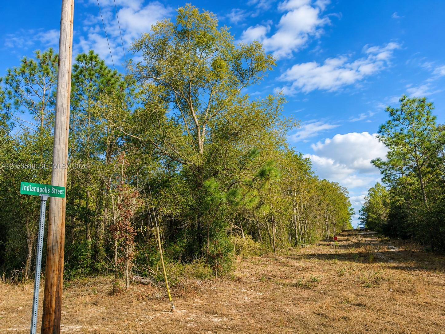 A street sign for Indianapolis Street stands next to a wooden utility pole near trees — 130 Indianapolis St, Palatka FL 32640, PALATKA, FL