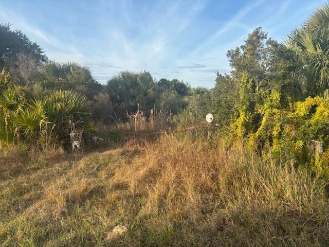 A grassy, overgrown lot features dense vegetation, palm trees, and a small sign on a fence — 20745 NW 302nd Street, Okeechobee FL 34972, OKEECHOBEE, FL