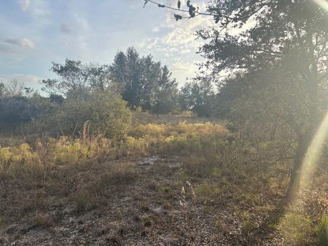 A view of a grassy, wooded lot with scattered trees under a bright, cloudy sky — 20745 NW 302nd Street, Okeechobee FL 34972, OKEECHOBEE, FL