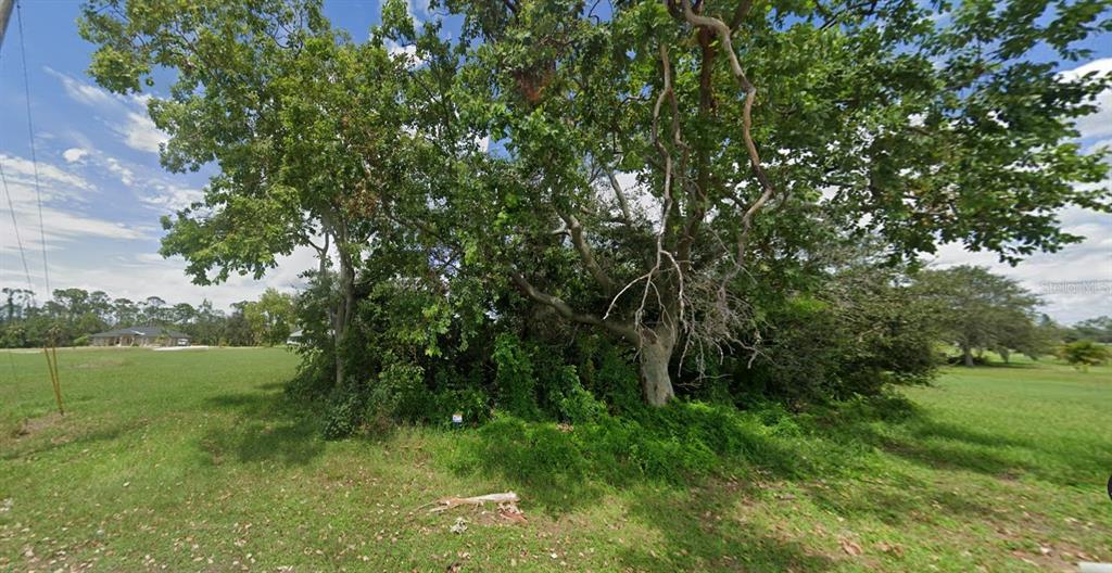 A large, mature tree stands in the center of a grassy, undeveloped residential lot — 17166 SPICE LANE, PUNTA GORDA, FL