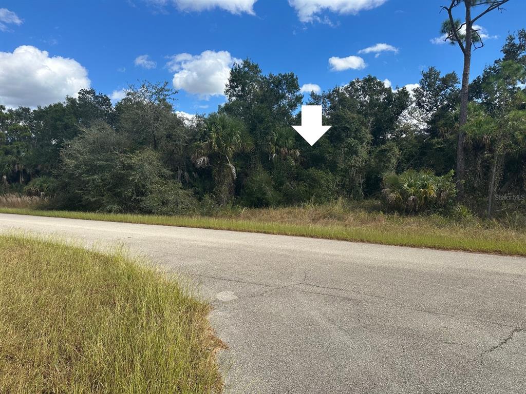 A white arrow points toward a dense, wooded lot bordering a paved road — 0 WHALING ROAD, NORTH PORT, FL