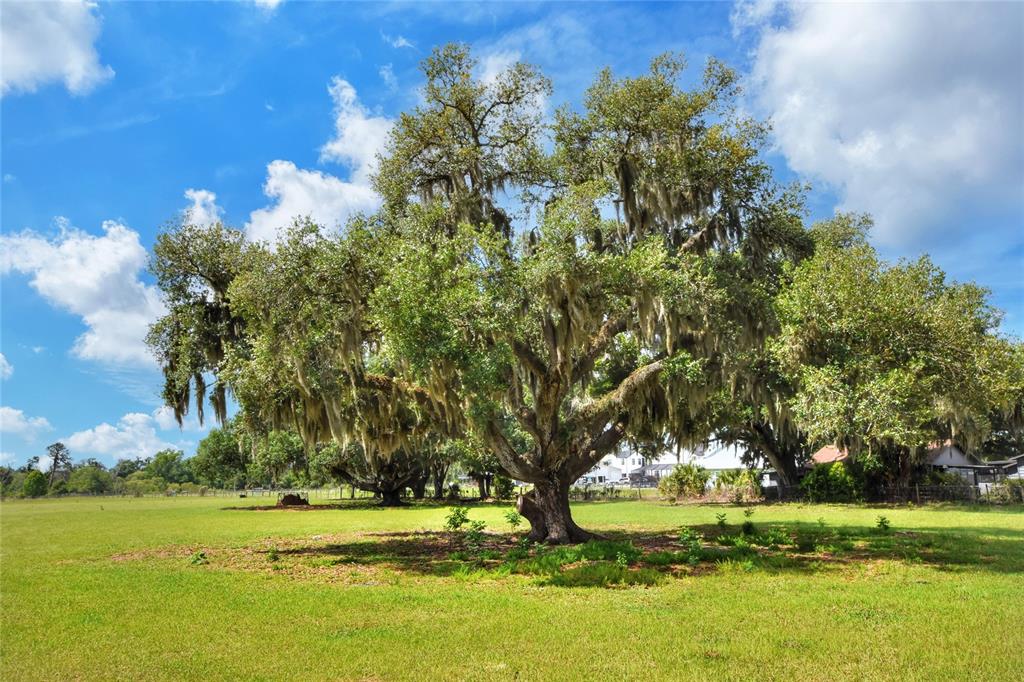0 DORMAN ROAD, LITHIA, FL — photo 3 of 9