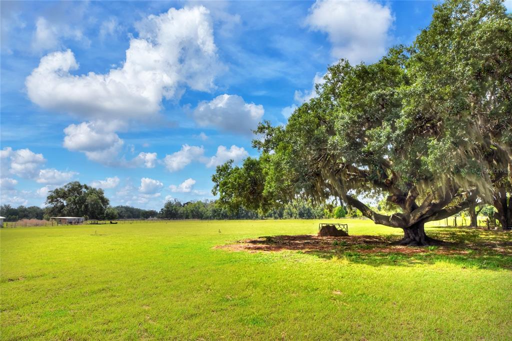 0 DORMAN ROAD, LITHIA, FL — photo 4 of 9