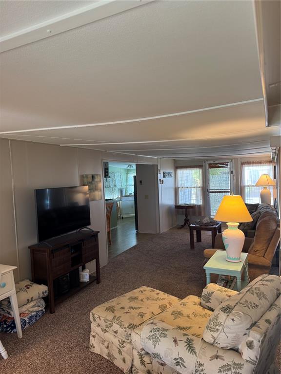 A living room features a floral armchair, a television on a stand, and carpeted flooring — 118 52ND AVENUE W, BRADENTON, FL