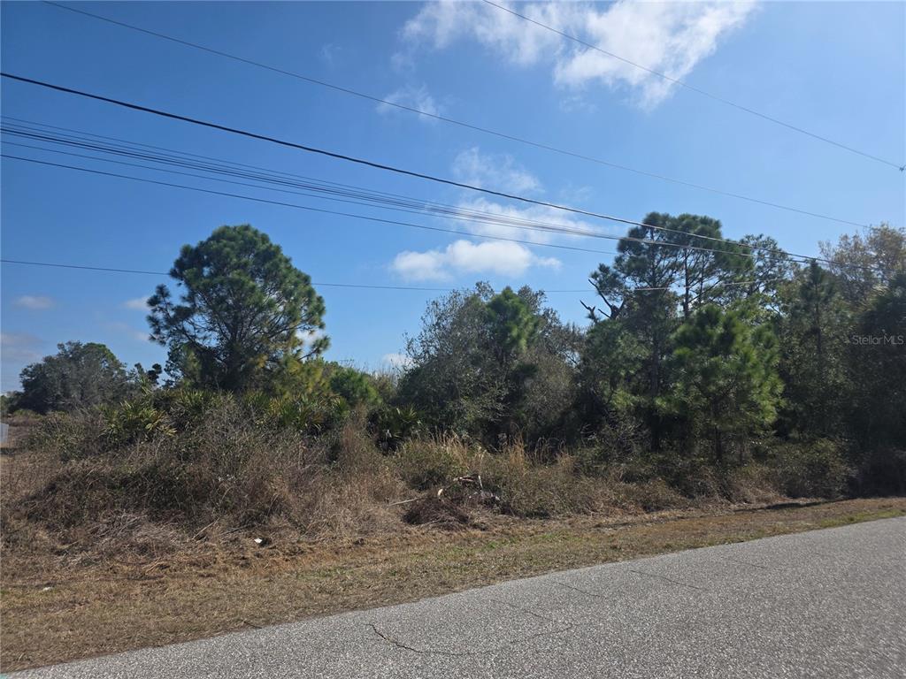 A vacant, wooded lot sits alongside a paved road under a blue sky — N DEER RUN ROAD, NORTH PORT, FL