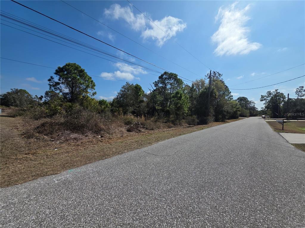 A paved road runs alongside a vacant, wooded lot under a blue sky — N DEER RUN ROAD, NORTH PORT, FL
