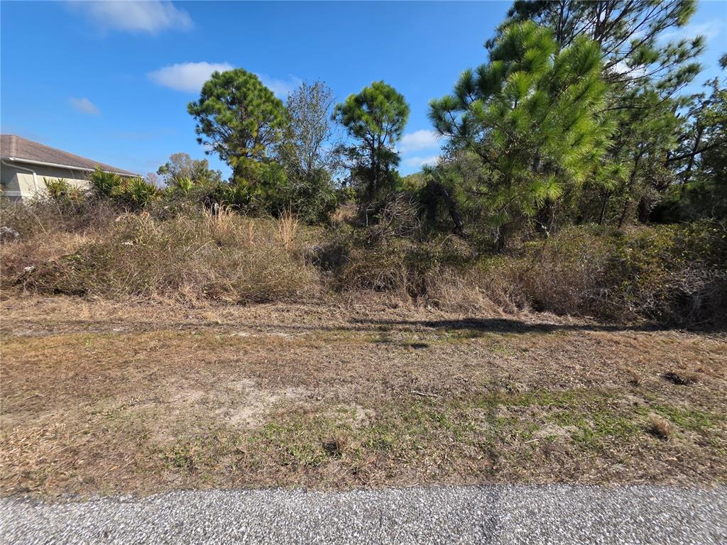 A vacant, overgrown residential lot with trees and shrubs sits next to a house — N DEER RUN ROAD, NORTH PORT, FL