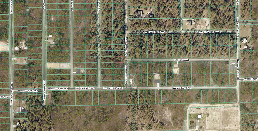 This is an aerial map showing a grid of undeveloped residential lots and streets — 156 NW REDWING ROAD, DUNNELLON, FL