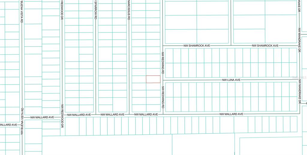 This is a map showing a residential lot highlighted in red within a street grid — 156 NW REDWING ROAD, DUNNELLON, FL
