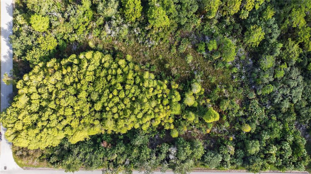 17010 RIDGELINE TRAIL, HUDSON, FL — photo 4 of 7