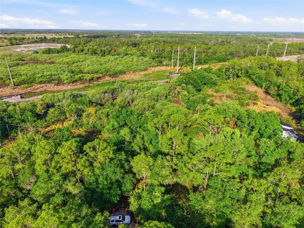 An aerial view shows a densely wooded lot with a small vehicle parked below — 22811 WILLIAMS DRIVE, NORTH FORT MYERS, FL
