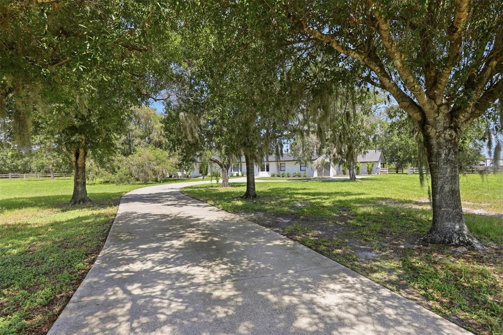 A concrete driveway leads through a grassy yard toward a white house under trees — 3810 HIDDEN RIVER ROAD, SARASOTA, FL