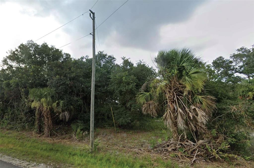 GREENTREE AVENUE