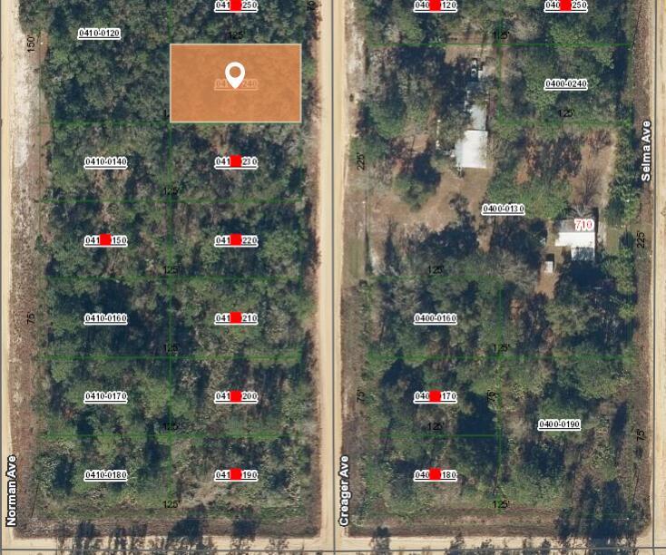 This map shows a highlighted rectangular land parcel surrounded by wooded lots and dirt roads — 005 Creager Avenue, FL 32148, FL