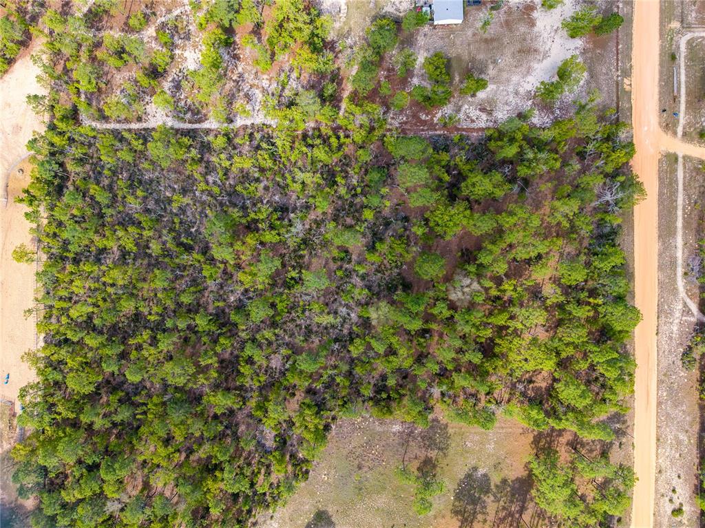 An aerial view shows a rectangular, wooded lot bordered by a dirt road — 230 MELROSE LANDING DRIVE, HAWTHORNE, FL