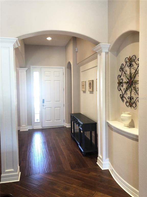 An entryway features dark wood floors, white columns, an arched ceiling, and a decorative wall niche — 19125 SWEET CLOVER LANE, TAMPA, FL