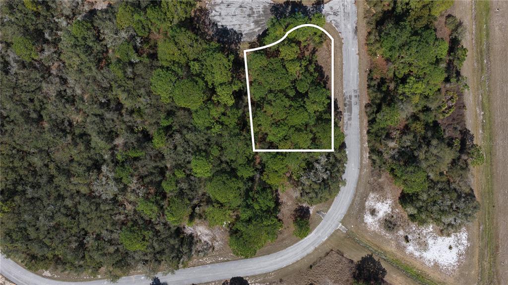 An aerial view shows a wooded, rectangular plot of land outlined in white — 500 CARIBBEAN PLACE, KISSIMMEE, FL