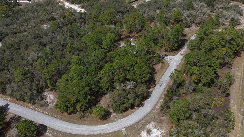 An aerial view shows a paved road curving through a wooded, undeveloped residential lot — 500 CARIBBEAN PLACE, KISSIMMEE, FL