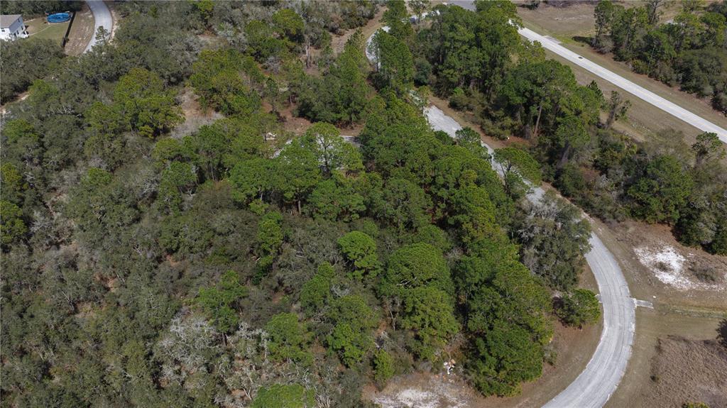 An aerial view shows a wooded, undeveloped residential lot surrounded by paved roads — 500 CARIBBEAN PLACE, KISSIMMEE, FL