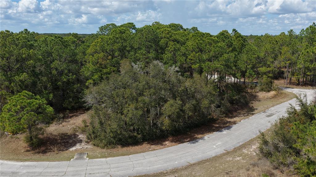 An aerial view of a vacant, wooded residential lot bordering a paved cul-de-sac road — 500 CARIBBEAN PLACE, KISSIMMEE, FL