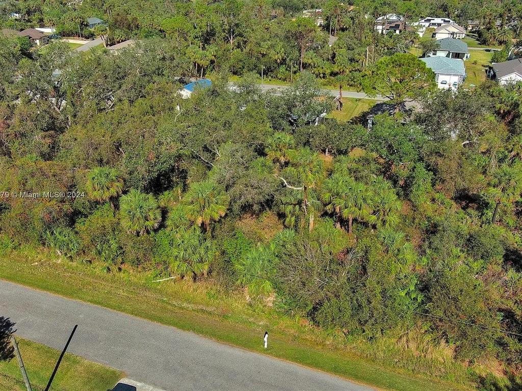 An aerial view shows a densely wooded, undeveloped lot bordered by a paved road — SARGON AVENUE, NORTH PORT, FL