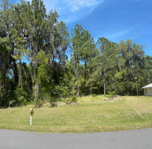 A grassy, vacant lot is bordered by tall, moss-draped pine trees under a blue sky — 3303 N Canterbury Lake Drive, FL 34442, FL