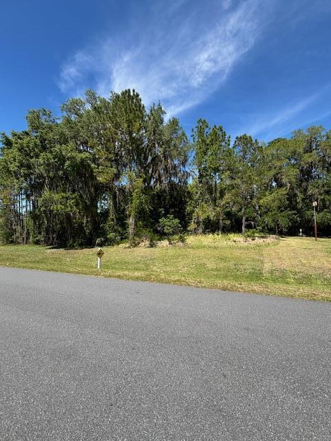 A paved road runs in front of a grassy lot bordered by mature trees — 3303 N Canterbury Lake Drive, FL 34442, FL