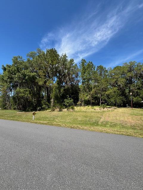 A paved road runs in front of a grassy lot bordered by tall, moss-covered trees — 3303 N Canterbury Lake Drive, FL 34442, FL
