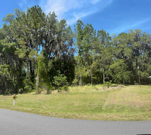 A grassy lot with mature trees and Spanish moss sits adjacent to a paved road — 3303 N Canterbury Lake Drive, FL 34442, FL