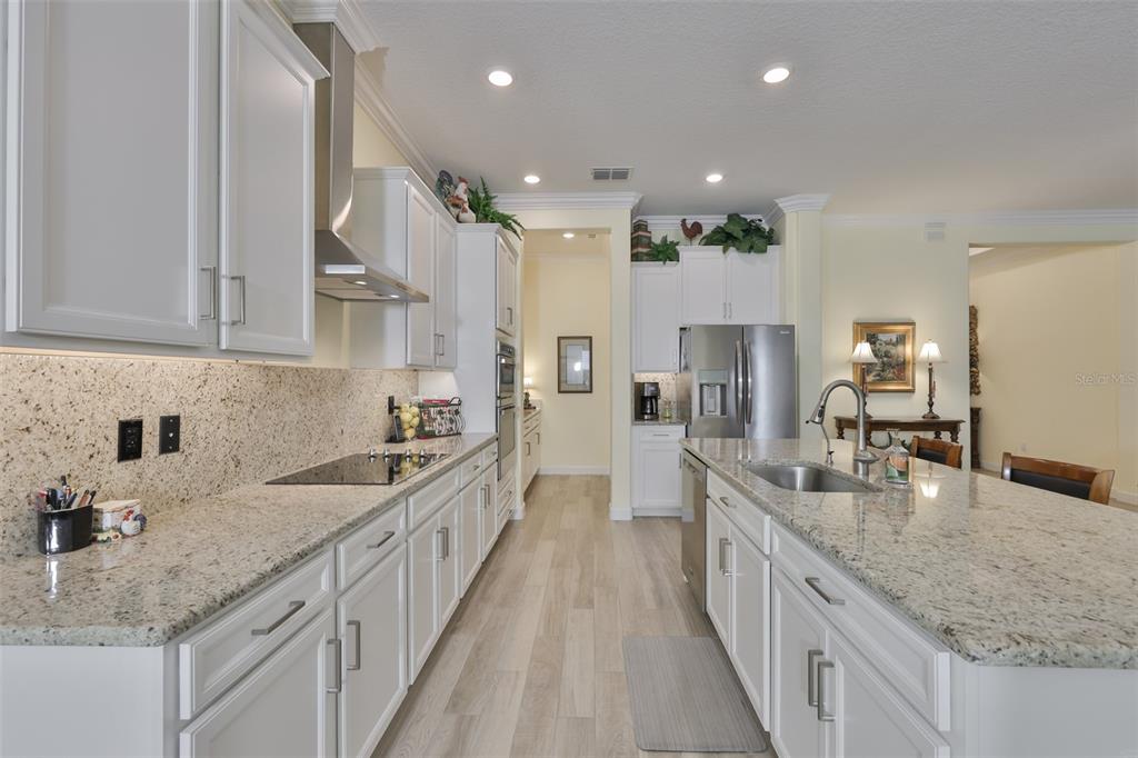 A kitchen features white cabinetry, granite countertops, stainless steel appliances, and light wood-look flooring — 16955 SCUBA CREST STREET, WIMAUMA, FL