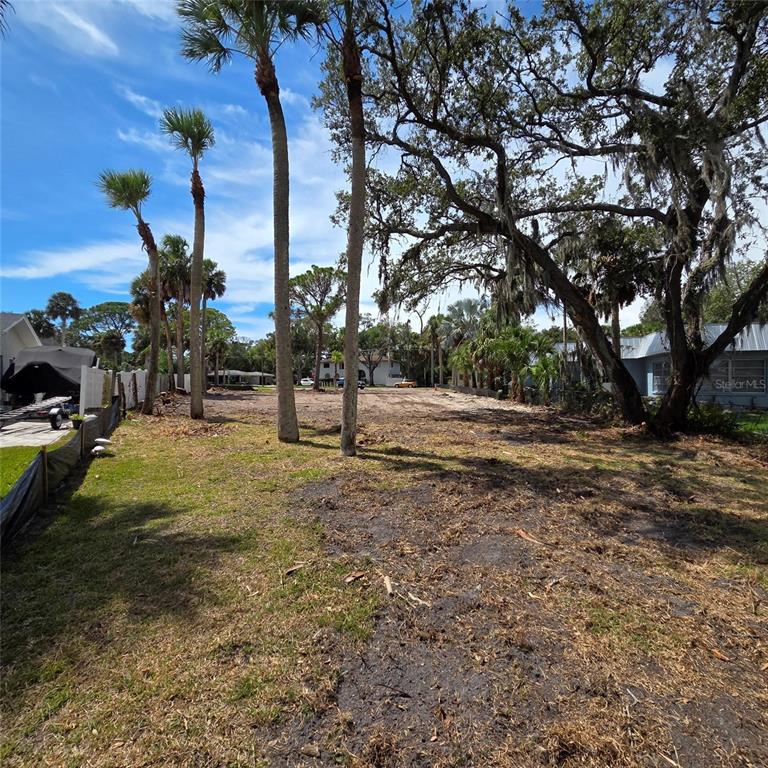 A vacant, cleared residential lot features several tall palm trees and large oak trees — 5345 TARRY LANE, NEW PORT RICHEY, FL