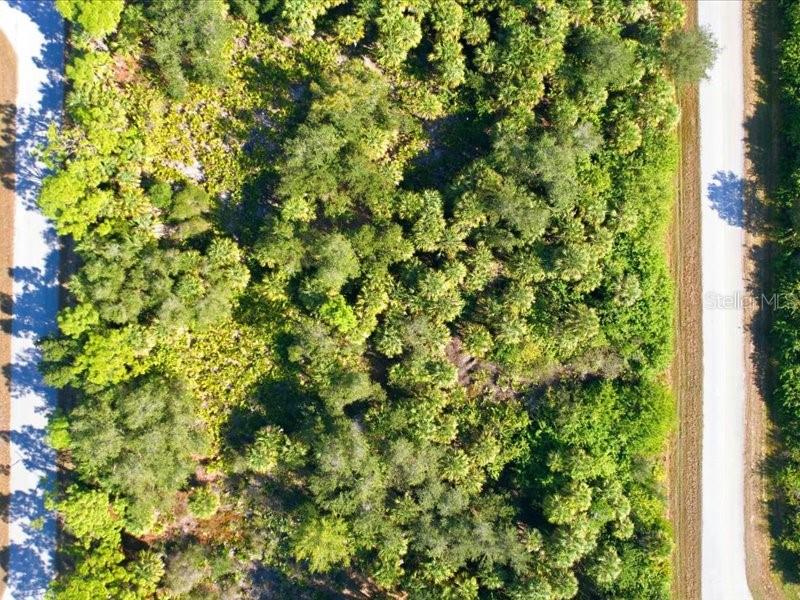 An aerial view shows a rectangular, wooded lot situated between two paved roads — 17378 QUINCY AVENUE, PORT CHARLOTTE, FL