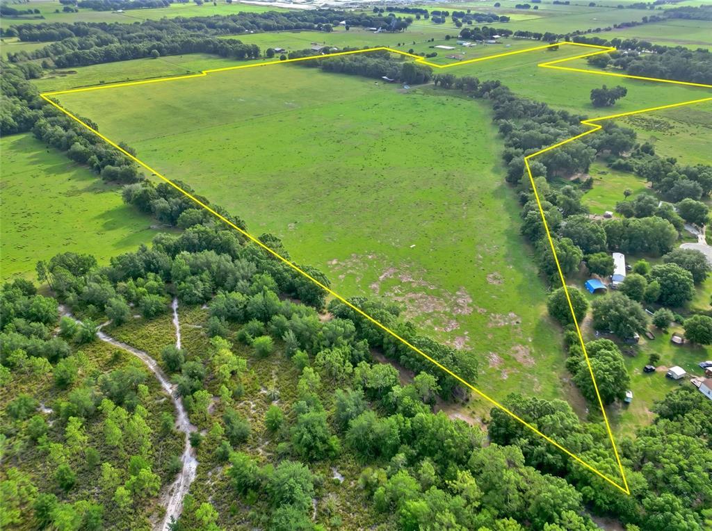 An aerial view shows a large, grassy field outlined in yellow, surrounded by wooded areas — N ED WELLS ROAD, WAUCHULA, FL