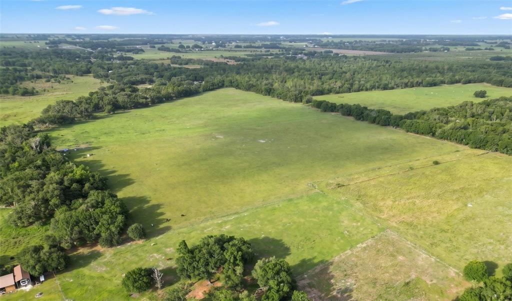 An aerial view shows a large, open green pasture bordered by dense trees and fences — N ED WELLS ROAD, WAUCHULA, FL
