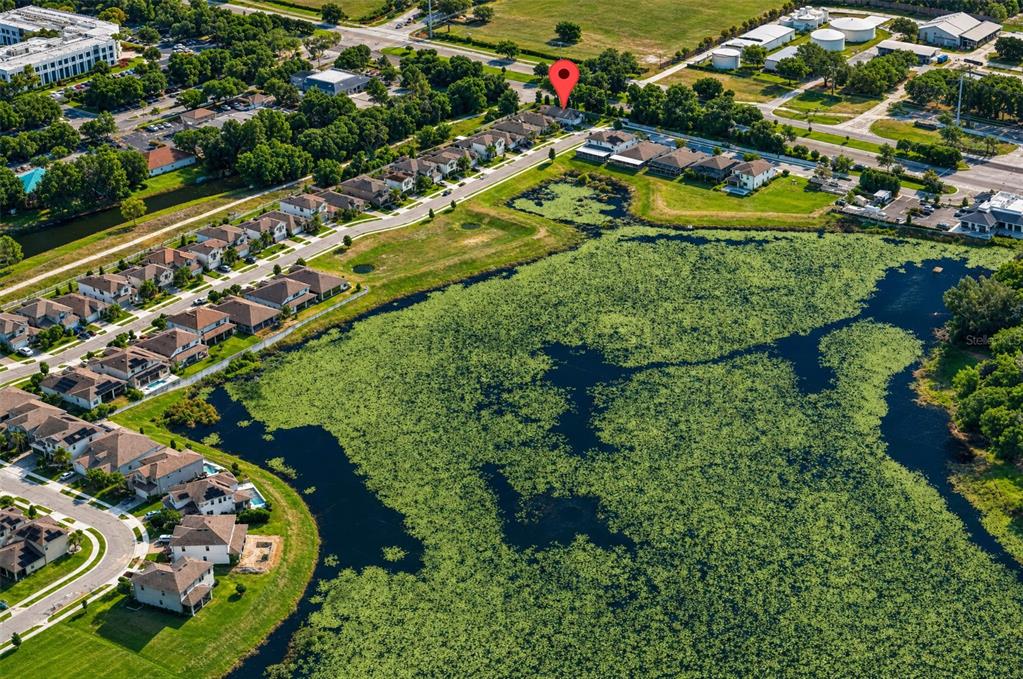 Aerial view of a suburban neighborhood bordering a large pond covered in lily pads — 1188 PATTERSON TERRACE, LAKE MARY, FL