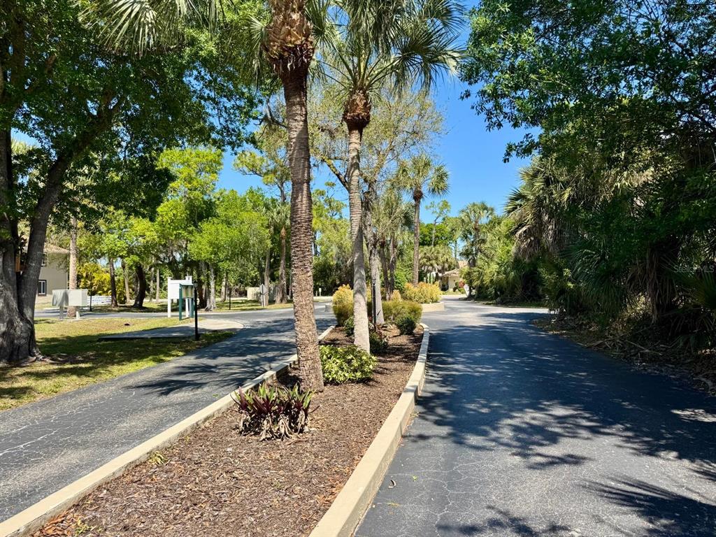 A paved driveway splits around a landscaped median with palm trees and shrubs — 22481 WESTCHESTER BOULEVARD UNIT B36, PORT CHARLOTTE, FL