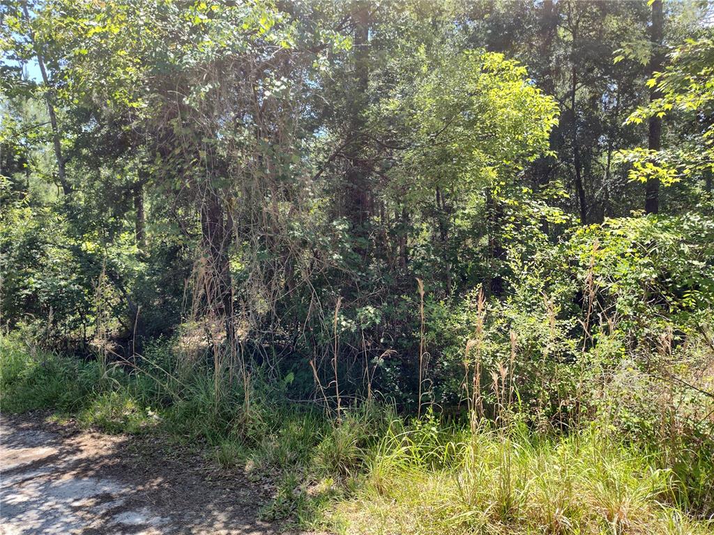 0000 NE 66TH AVENUE, CITRA, FL — photo 2 of 5