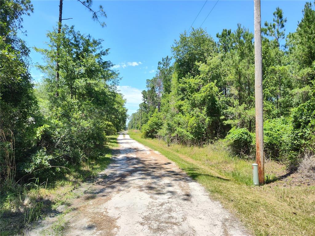 0000 NE 66TH AVENUE, CITRA, FL — photo 4 of 5