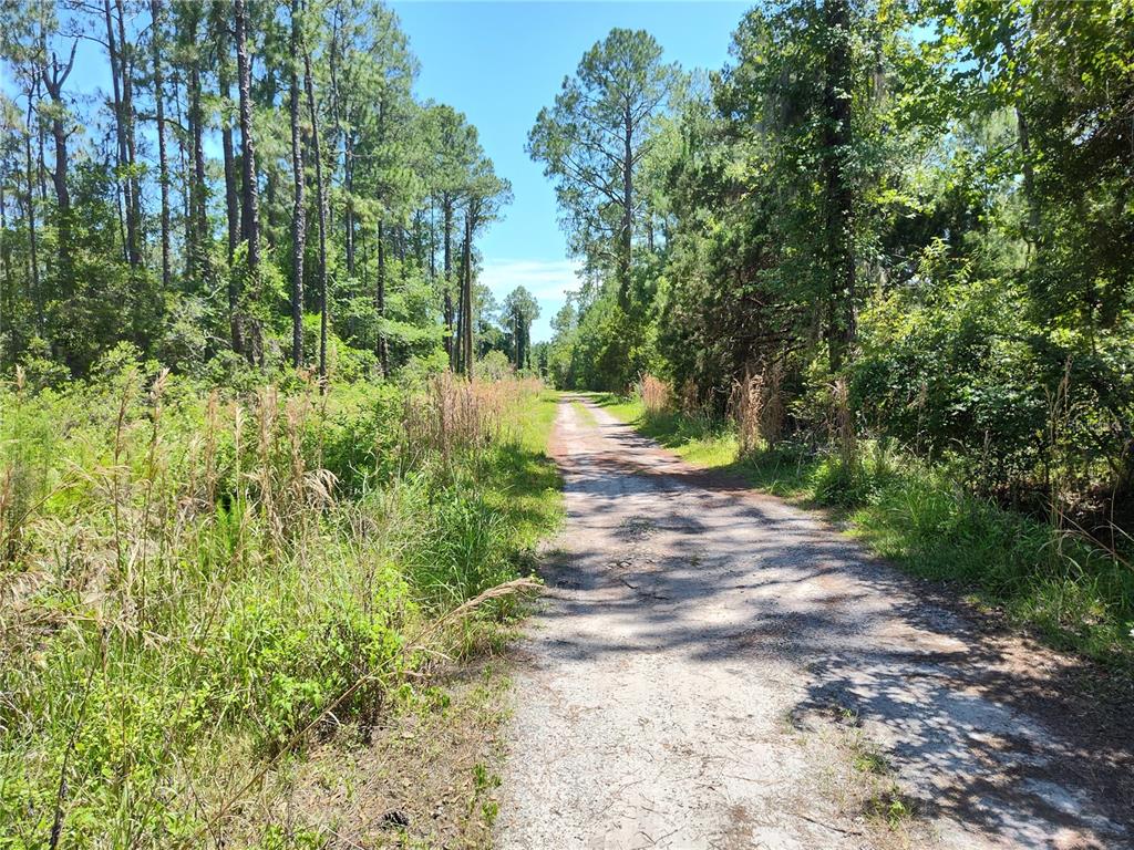 0000 NE 66TH AVENUE, CITRA, FL — photo 5 of 5