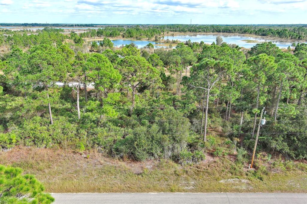 An aerial view shows a vacant, wooded lot with a small pond in the background — 1261 NAPLES AVENUE S, FORT MYERS, FL