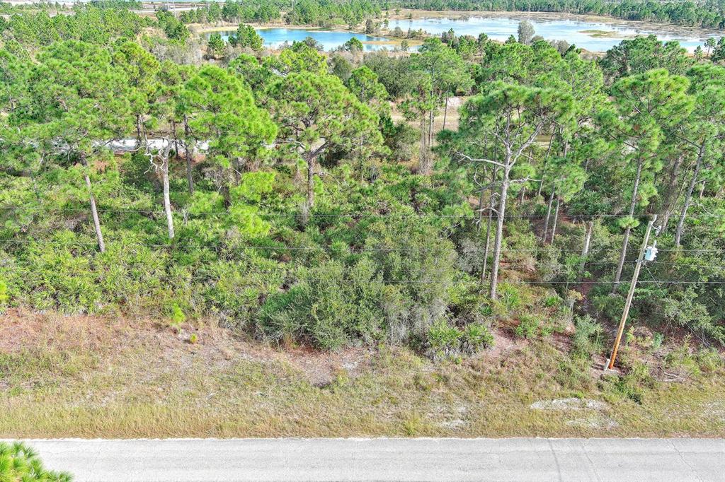 An aerial view shows a wooded lot with a road in the foreground and water — 1261 NAPLES AVENUE S, FORT MYERS, FL