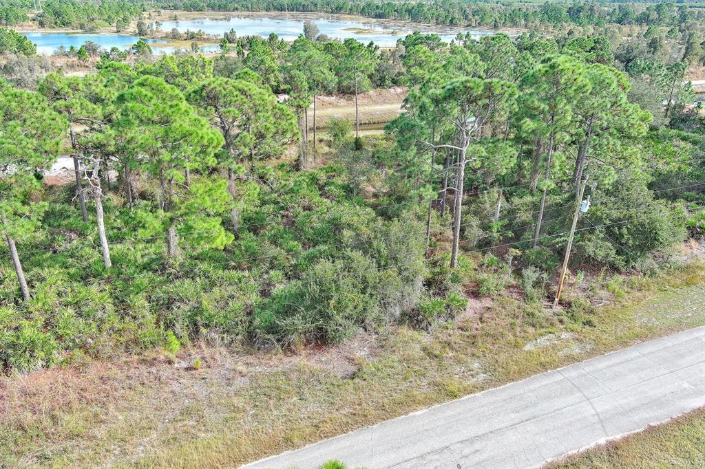 An aerial view shows a wooded lot with pine trees next to a paved road — 1261 NAPLES AVENUE S, FORT MYERS, FL