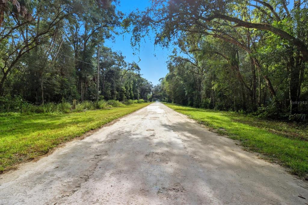 A dirt road stretches through a wooded area under a clear blue sky — 0 MONROE AVENUE, BROOKSVILLE, FL