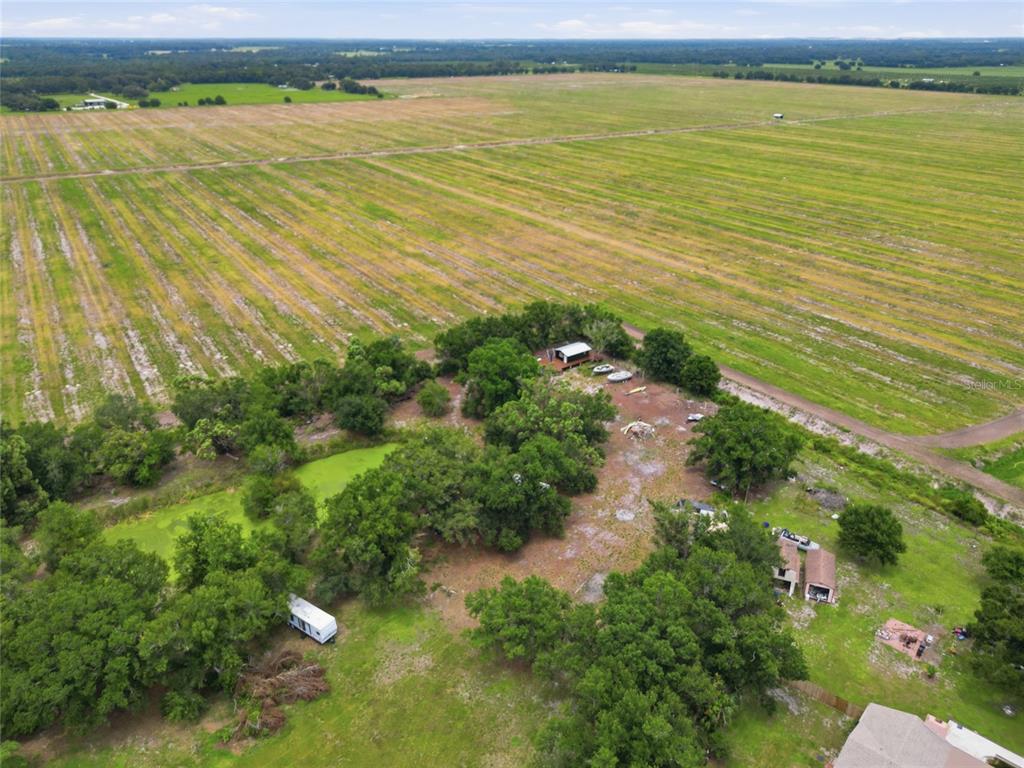 SE AMBRA DRIVE, ARCADIA, FL — photo 3 of 12