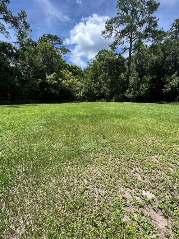 A grassy, open lot is bordered by a dense line of mature trees under a blue sky — 1292 HICKORY DRIVE, LONGWOOD, FL