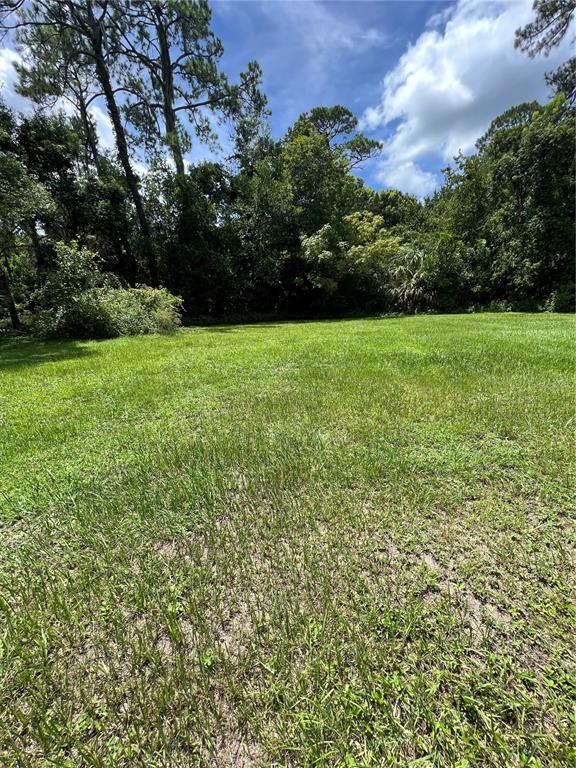 A grassy, open lot is bordered by a dense line of mature trees and foliage — 1292 HICKORY DRIVE, LONGWOOD, FL