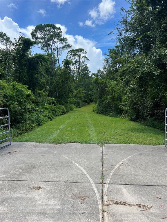 A concrete driveway leads to a grassy path bordered by dense trees and vegetation — 1292 HICKORY DRIVE, LONGWOOD, FL