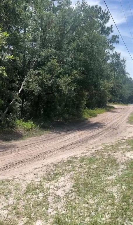 A dirt road winds through a wooded area under a bright, partly cloudy sky — SW 156TH PLACE, DUNNELLON, FL